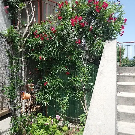 Charming Hill Apartment *