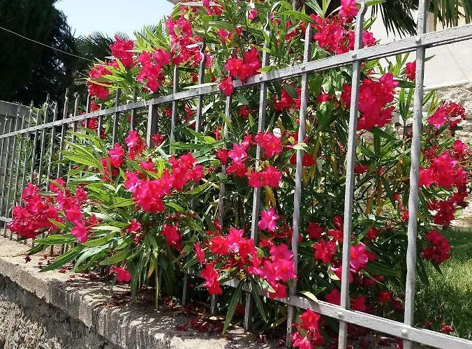 Charming Hill 公寓