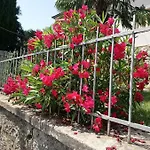 Charming Hill Apartman