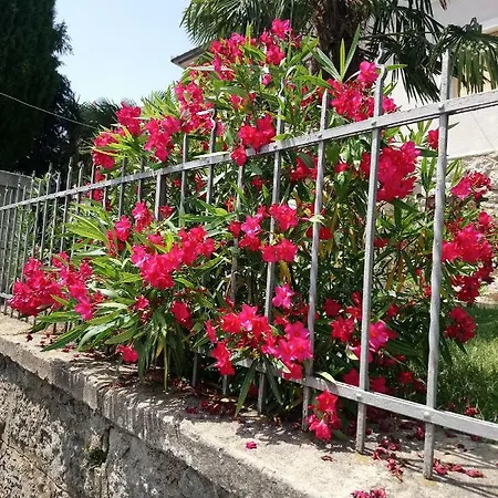 Charming Hill 아파트